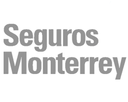 Logo Seguros Monterrey